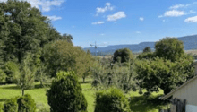 Listing picture