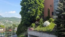 Immagine dell’oggetto