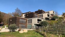 Immagine dell’oggetto