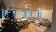 Living room with wooden floor, Christmas tree, sofa, table, carpet, dining chairs, coffee table, clock