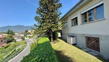 Listing picture