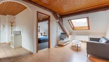 modern apartment with wooden floors, wooden beam ceiling, cozy living room with couch, TV, desk, bedroom with bed, microwave on stand, bedroom with skylight