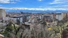 Immagine dell’oggetto