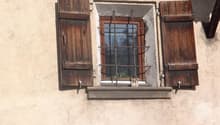 Listing picture
