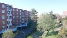5434_50.jpg