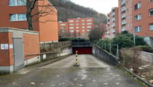 IMG_5966.jpeg