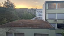 Aussicht_takacs.jpg