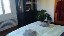 Listing picture
