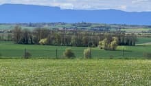 Listing picture