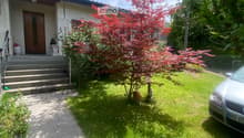 Listing picture