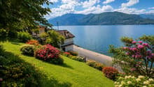 Listing picture