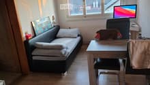 Listing picture