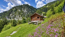Listing picture