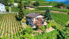 Villa Sierre - Vue drône / Villa Sierre - Drohnenblick / Villa Sierre - Drone view