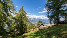 Traditional stone house with red shutters, surrounded by a lush green landscape with a stunning mountain view.