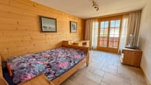 wooden walls, bed, desk, TV, glass doors, tiled floor