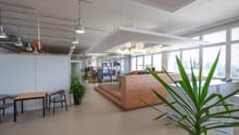modern office with natural light, desks, chairs, potted plants, and reception area