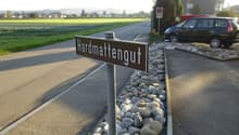 Strengelbach_Hardmattengut_1_-5_1.JPG