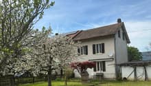 3 - Copie