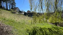 IMG_0200
