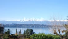 garden with lake view, snow-covered mountains in the distance