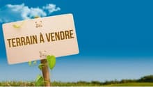 For sale sign in a grass field