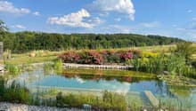 Lush green landscape with a pond, surrounded by colorful flowers and plants. The pond is reflecting the blue sky and clouds above. There appears to be a small stone wall or border around the pond, and the ground is covered in pebbles.
