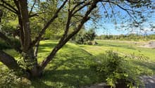 Listing picture