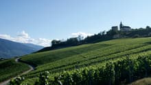 Vue depuis le terrain