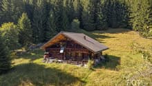 Chalet Alpin