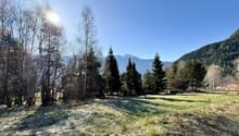 Listing picture