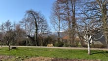 Listing picture
