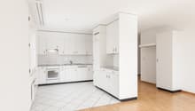 modern design kitchen with all appliances, white cabinets, wooden floor