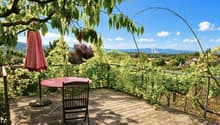 Sonnige Terrasse zwischen den Reben
