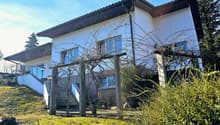 Modern white house on slope, with 2 windows and metal trellis in front