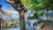 Scenic outdoor seating area with a large tree, stone bench, and wrought iron fence overlooking a lake or body of water with mountains in the background