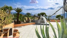 Outdoor area with fountain, tiled floor, various plants, and a view of mountains