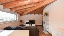 Living room with wooden ceiling, large window, sofa, TV, entertainment center, wooden floor, white walls, glass cabinet, potted plant