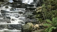 The image shows a cascading waterfall flowing over rocky terrain surrounded by lush green vegetation. The stream flows through a forested area with moss-covered rocks and fallen leaves along the banks.