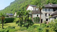 Two-story stone and wood houses with tiled roofs, surrounded by lush greenery including palm trees and other vegetation. The houses are set in a scenic mountainous landscape with a grassy yard in the foreground.