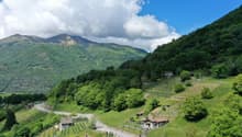 Immagine dell’oggetto