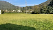 Listing picture