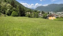 Listing picture