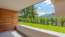 Wooden panels, concrete floor, grassy garden, plants, railing, shadow on floor, distant mountains