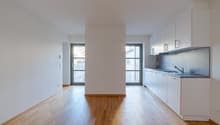 modern kitchen, wood floors, white walls, two large windows, central pillar, countertops, modern sink, faucet, built-in appliances