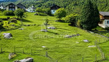 Listing picture