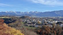 Vue