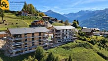 Chalets alpins en construction panoramique-1
