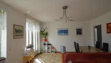 open space living room with dining room, hardwood floor, windows, sofa, dining table, radiators, light fixture, paintings, plant, speaker, heaters, radiator