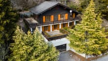 2-story wooden chalet-style house with a slanted dark roof, large windows, and a balcony/terrace. The house is surrounded by lush green pine trees and is situated in a forested, mountainous area.